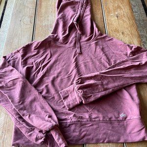 Alo Yoga Social Hoodie in Earth Size Small